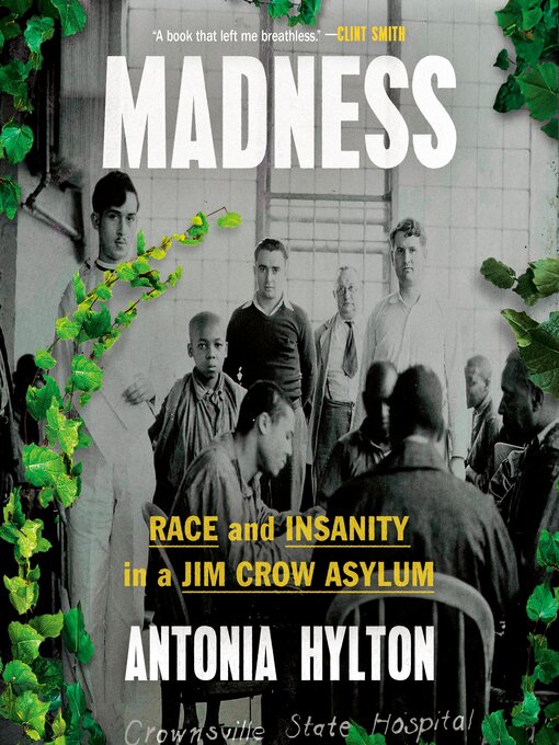 Title details for Madness by Antonia Hylton - Wait list